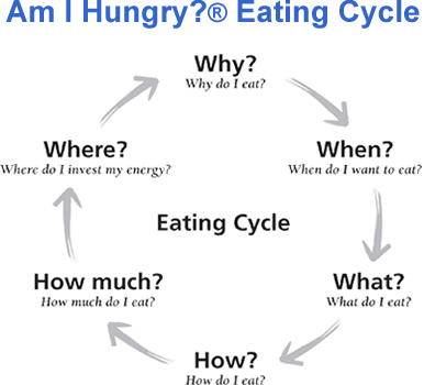 Am I Hungry Eating Cycle